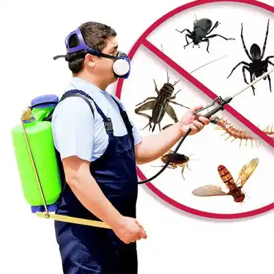 pest control North St. Paul